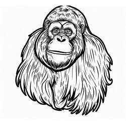 Dibujo para colorear: Orangután (Animales) #191579 - Dibujos para Colorear e Imprimir Gratis