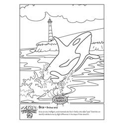 Dibujo Orca (Animales) #213444 para imprimir y colorear
