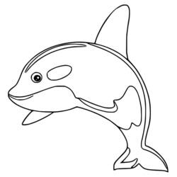 Dibujos para colorear: Orca - Dibujos para Colorear e Imprimir Gratis