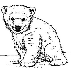 Dibujo para colorear: Osito (Animales) #214453 - Dibujos para Colorear e Imprimir Gratis