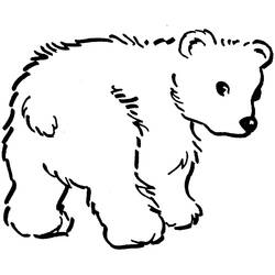 Dibujo para colorear: Osito (Animales) #214461 - Dibujos para Colorear e Imprimir Gratis