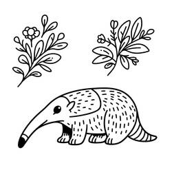 Dibujo para colorear: Oso Hormiguero (Animales) #219637 - Dibujos para Colorear e Imprimir Gratis