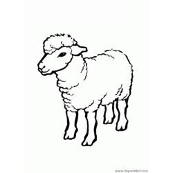 Dibujo para colorear: Oveja (Animales) #11409 - Dibujos para Colorear e Imprimir Gratis