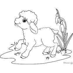 Dibujo para colorear: Oveja (Animales) #11422 - Dibujos para Colorear e Imprimir Gratis