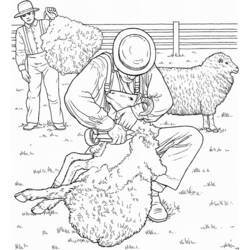 Dibujo para colorear: Oveja (Animales) #11461 - Dibujos para Colorear e Imprimir Gratis