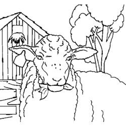 Dibujo para colorear: Oveja (Animales) #11479 - Dibujos para Colorear e Imprimir Gratis