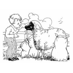 Dibujo para colorear: Oveja (Animales) #11495 - Dibujos para Colorear e Imprimir Gratis