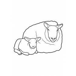 Dibujo para colorear: Oveja (Animales) #11521 - Dibujos para Colorear e Imprimir Gratis