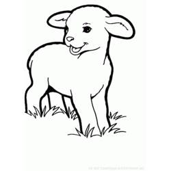 Dibujo para colorear: Oveja (Animales) #11548 - Dibujos para Colorear e Imprimir Gratis