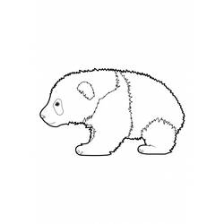 Dibujo para colorear: Panda (Animales) #12468 - Dibujos para Colorear e Imprimir Gratis
