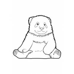 Dibujo para colorear: Panda (Animales) #12483 - Dibujos para Colorear e Imprimir Gratis