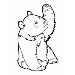 Dibujo para colorear: Panda (Animales) #12503 - Dibujos para Colorear e Imprimir Gratis