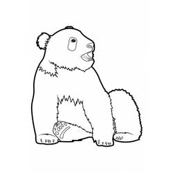 Dibujo para colorear: Panda (Animales) #12514 - Dibujos para Colorear e Imprimir Gratis
