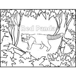 Dibujo para colorear: Panda (Animales) #12596 - Dibujos para Colorear e Imprimir Gratis