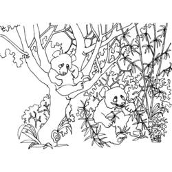 Dibujo para colorear: Panda (Animales) #12603 - Dibujos para Colorear e Imprimir Gratis