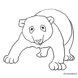 Dibujo para colorear: Panda (Animales) #12621 - Dibujos para Colorear e Imprimir Gratis