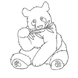 Dibujo Panda (Animales) #175231 para imprimir y colorear