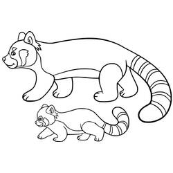 Dibujo para colorear: Panda Rojo (Animales) #212051 - Dibujos para Colorear e Imprimir Gratis