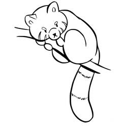 Dibujo para colorear: Panda Rojo (Animales) #212056 - Dibujos para Colorear e Imprimir Gratis