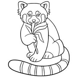 Dibujo para colorear: Panda Rojo (Animales) #212066 - Dibujos para Colorear e Imprimir Gratis