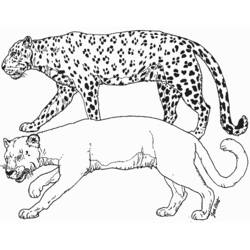 Dibujo para colorear: Pantera (Animales) #15598 - Dibujos para Colorear e Imprimir Gratis