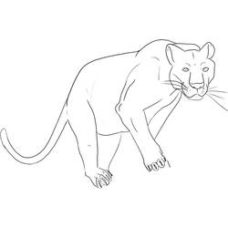 Dibujo para colorear: Pantera (Animales) #214427 - Dibujos para Colorear e Imprimir Gratis