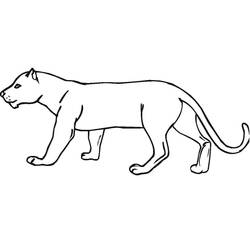 Dibujo para colorear: Pantera (Animales) #214441 - Dibujos para Colorear e Imprimir Gratis