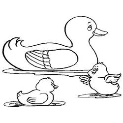 Dibujo para colorear: Pato (Animales) #1445 - Dibujos para Colorear e Imprimir Gratis