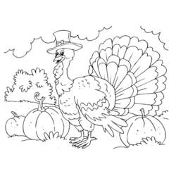 Dibujo para colorear: Pavo (Animales) #5399 - Dibujos para Colorear e Imprimir Gratis
