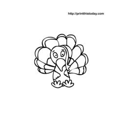 Dibujo para colorear: Pavo (Animales) #5456 - Dibujos para Colorear e Imprimir Gratis