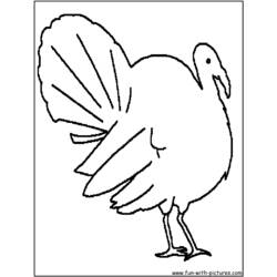 Dibujo para colorear: Pavo (Animales) #5465 - Dibujos para Colorear e Imprimir Gratis