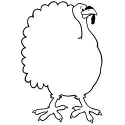 Dibujo para colorear: Pavo (Animales) #5470 - Dibujos para Colorear e Imprimir Gratis