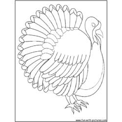 Dibujo para colorear: Pavo (Animales) #5472 - Dibujos para Colorear e Imprimir Gratis