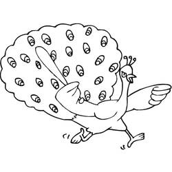 Dibujo Pavo Real (Animales) #197590 para imprimir y colorear