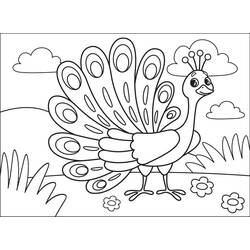 Dibujo Pavo Real (Animales) #197598 para imprimir y colorear
