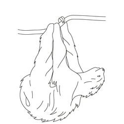 Dibujo para colorear: Perezoso (Animales) #210412 - Dibujos para Colorear e Imprimir Gratis