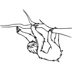 Dibujo para colorear: Perezoso (Animales) #210441 - Dibujos para Colorear e Imprimir Gratis