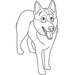 Dibujo para colorear: Perro (Animales) #3095 - Dibujos para Colorear e Imprimir Gratis