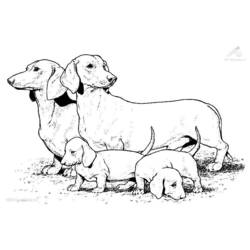 Dibujo para colorear: Perro (Animales) #3099 - Dibujos para Colorear e Imprimir Gratis