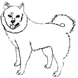Dibujo para colorear: Perro (Animales) #3103 - Dibujos para Colorear e Imprimir Gratis