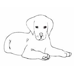 Dibujo para colorear: Perro (Animales) #3108 - Dibujos para Colorear e Imprimir Gratis