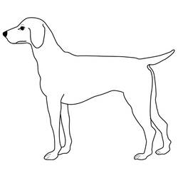 Dibujo para colorear: Perro (Animales) #3123 - Dibujos para Colorear e Imprimir Gratis