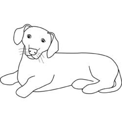 Dibujo para colorear: Perro (Animales) #3126 - Dibujos para Colorear e Imprimir Gratis