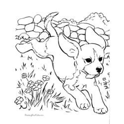 Dibujo para colorear: Perro (Animales) #3129 - Dibujos para Colorear e Imprimir Gratis