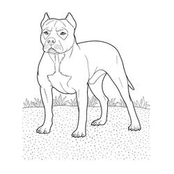 Dibujo para colorear: Perro (Animales) #3138 - Dibujos para Colorear e Imprimir Gratis