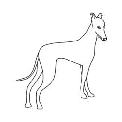 Dibujo para colorear: Perro (Animales) #3156 - Dibujos para Colorear e Imprimir Gratis