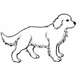 Dibujo para colorear: Perro (Animales) #3158 - Dibujos para Colorear e Imprimir Gratis