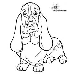 Dibujo para colorear: Perro (Animales) #3164 - Dibujos para Colorear e Imprimir Gratis