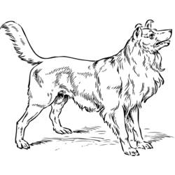 Dibujo para colorear: Perro (Animales) #3185 - Dibujos para Colorear e Imprimir Gratis