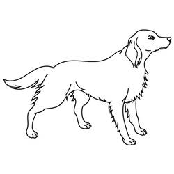 Dibujo para colorear: Perro (Animales) #3190 - Dibujos para Colorear e Imprimir Gratis